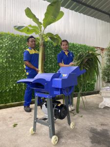 เครื่องสับหญ้าและต้นกล้วยไฟฟ้า GC-600 8 ใบมีด สำหรับสวนและฟาร์ม