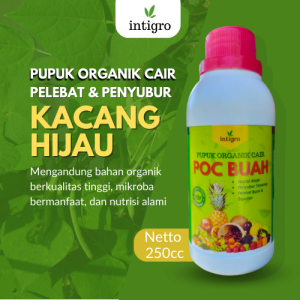 Pupuk Untuk Tanaman Kacang Hijau / Obat Penyubur Kacang Hijau / Pupuk Pelebat Bunga Kacang Hijau