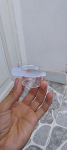 combo 10 Cóng ăn Cóng đựng sâu trứng kiến nhựa trắng cho chim hút mật  vành khuyên chòe đất nhỏ gọn tiện dụng