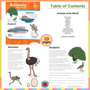 GRADE 2 (SCIENCE & SOCIAL SCIENCE) Activity Workbook Worksheet Homeschool Learning Materials | RABAH UP STORE