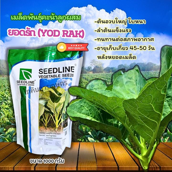 เมล็ดพันธุ์คะน้ายอดรัก ลูกผสม F1 Seedline ขนาด 1000 กรัม