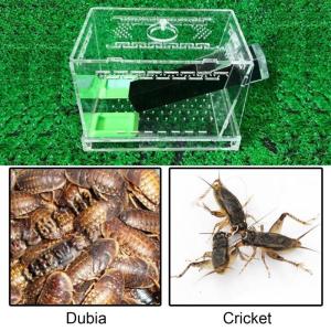 Acrylic Cricket Keeper Tanks With Feeding Tubs And Ventilated Design For Insect Observation