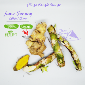 1 PAKET ! Dlingo Bengle atau Dlingo Bangle Segar 500gr - Sawan Anak