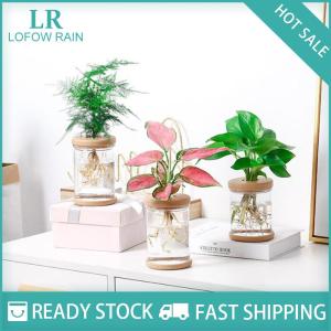 LF Wholesale✨Flash Sale ✨ Lazy Transparent Flowerpot Hydroponic Automatic Water Absorption Flowerpot