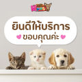 Pedigree Puppy Chicken and Egg เพดดิกรี สูตรลูกสุนัข รสไก่ไข่และนม 15Kg. 