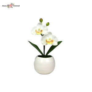 แจกันดอกไม้ปลอมมินิมอล กล้วยไม้สีขาวพร้อมแจกัน