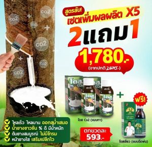 โดส CO2(สูตรทา) ยางพารา นวัตกรรมปุ๋ยอากาศ เซตเพิ่มผลผลิตX5เท่าไหลเร็ว ไหลนาน ออกสมำ่เสมอ น้ำยางขาวข้นต้นสมบูรณ์ไม่โทรม หน้ายางใสเสริมเปลือกไว