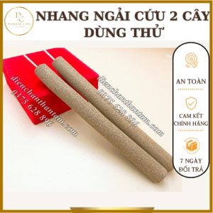 Nhang Ngải Cứu 100% Ngải Cứu 2 Cây Hơ Đại Huyệt Dụng Cụ Diện Chẩn
