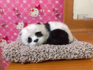 Thú Bông Than Hoạt Tính Hút Mùi Khử Khuẩn và Trang Trí Taplo Xe Hơi Hay Bàn Làm Việc Cực Đẹp