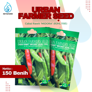 Benih Biji Bibit Cabai Rawit "MIDORA" (RJHL 1193) Urban Farmer Seed - 1 Pcs