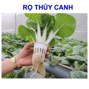 COMBO 10 RỌ TRỒNG RAU THỦY CANH Vuadienmay