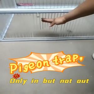 Stainless Steel Pigeon Trap Cage 4 Doors Anti-Escape Poultry Entry Automatic Rabbit Collecting Tool