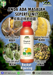 Raykat Ripening 1L (Baja Buah 果肥 化肥 肥水Fertilizer Agriculture Farming Plantation)