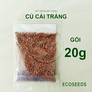 [EcoSeeds] Hạt Giống Củ Cải Trắng Hà Nội - Thích Nghi Sinh Trưởng Tốt Trồng Quanh Năm - Gói Lẻ 10g