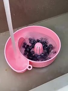 Snail Rotating Draining Basket / Bakul Basuh Buah & Sayur Dapur