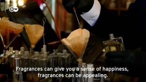 [Original] ZARA Womens Perfume EDP - Hibiscus/Peony