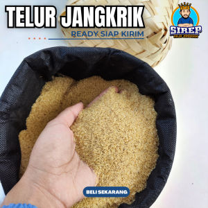 TELUR JANGKRIK ALAM KEMASAN 1 KG KUALITAS BAGUS SIAP TETAS UNTUK TERNAK JANGKRIK READY SIAP KIRIM