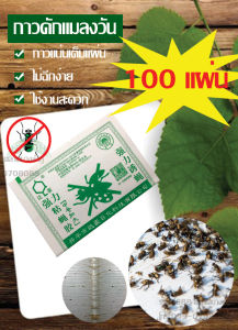 กาวดักแมลงวัน 100 แผ่น กาว ดัก แมลง ของแท้