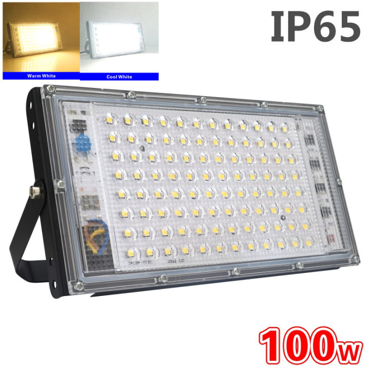 100W 50W Led Flood Light AC 220V 230V 240V Outdoor Floodlight