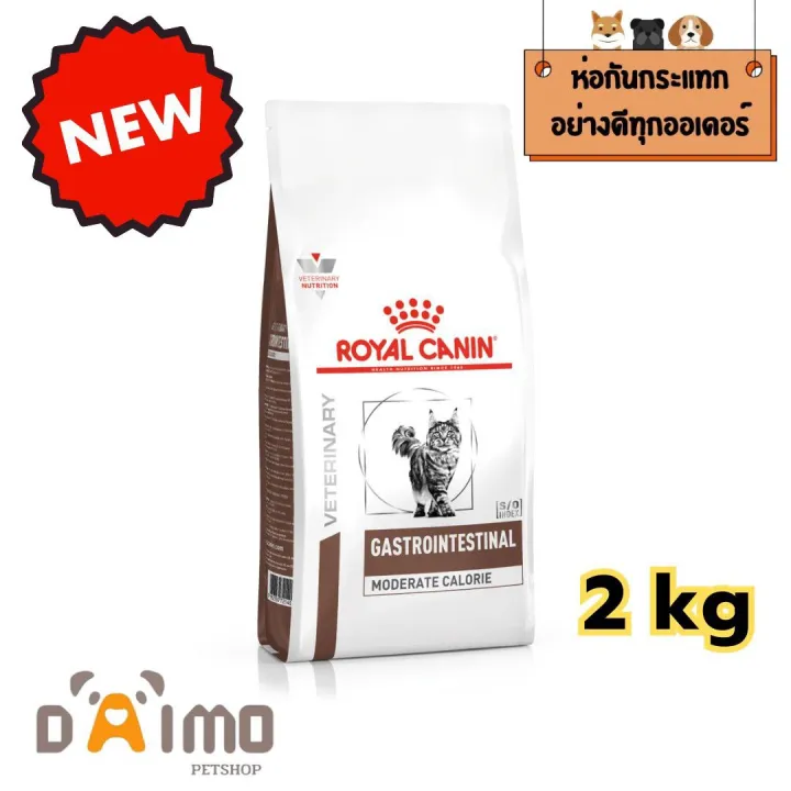 10 อาหารแมว Royal Canin ยี่ห้อไหนดี? เลือกสูตรที่ใช่สำหรับเหมียวสุดที่รัก อัปเดต 2025