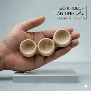 Combo 10 trụ gỗ cốc gỗ khuyết tán tinh dầu - Dùng cho ÔTô Tủ quần áo Phòng ngủ