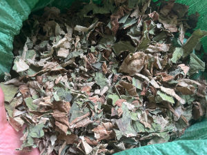 1 kg lá sen khô sạch thơm loại 1 nguyên chất không lẫn cọng ( phơi khô tự nhiên)