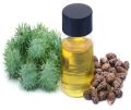 Castor Oil(minyak jarak)100ml. 