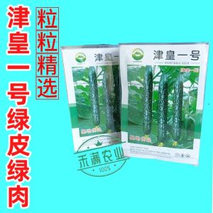 💗🙋‍♀️💗津皇一号绿刺黄瓜种子水果黄瓜甜脆爽口油亮绿刺绿芯秋季种植抗病
