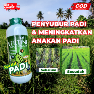 Vertine Grow Pupuk NPK Cair untuk padi Penambah Bobot Padi dan Anti Hama Tikus Kemasan 1Liter
