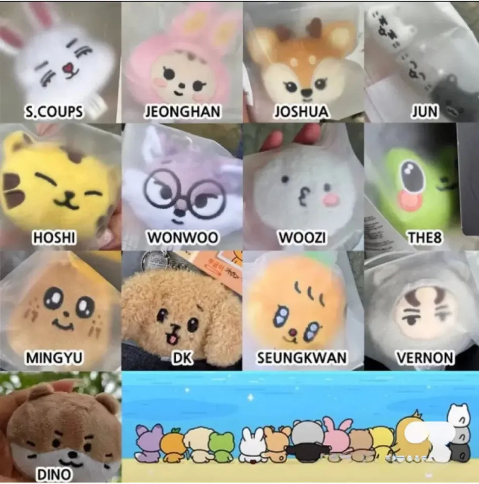 Kpop SVT Seventeen Plush Keychain Bag Charm Pendant JEONGHAN