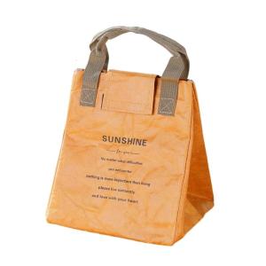 Ánh Sáng Trọng lượng giấy túi đựng bữa trưa dày lá nhôm Túi xách chống thấm nước Túi cách nhiệt tái sử dụng leakproof container