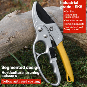 【Gbest】Sk5 Garden Plant Pruning Shears Tree Pruner Branch Scissor Stainless Steel Flower Scissors Home Hand Bonsai Tool Rambutan Cutter Gardening Planting Tools And Equipment Secateurs Shear Grafting Prunning Trees Prune Fruit Trimmer
