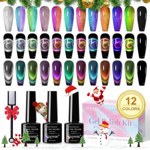 Cat Eye Gel Set - 12 Colors 9D Magnetic Gel    Galaxy Cateye Nail Gels Polishes with 1 Black Gels and Magnetic Lamp  Required Home Mani DIY Nail Art