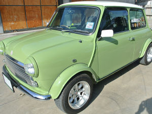 คิ้วกันสาดรถ กันฝน ROVER MINI (SUPER WIDE TYPE) Weather Guard/Rain Deflector/Window Visor