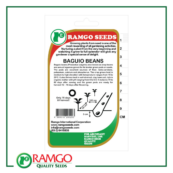 RPO%20Beans%20Baguio%20Seeds%20-%20Image%203