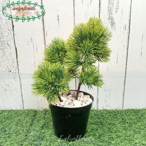 Tanaman Artificial Daun Lohansung Mini X3 Latex Pot Dasar Hitam Dekorasi Meja