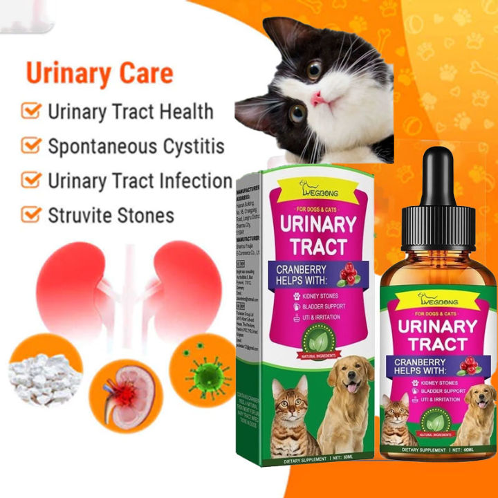 Urinary Tract Flutd Diet Purina Pro Plan Veterinary Diets Cat UR