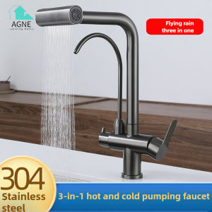 SUS304 Stainless Steel Dual-Handle 2-in-1 Kitchen Sink Faucet
