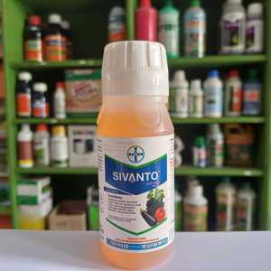 Insektisida SIVANTO Prime 200 sl isi 100ml
