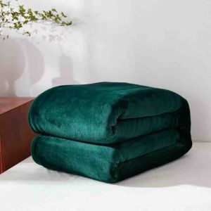 Fernca Mall Microfiber Blanket Plain Color Blanket Super Soft Warm Plush Blanket Queen Size Soft Sofa Kumot 150x200cm/180x220cm