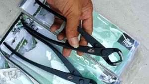 catok bonsai Cembung premium mstwa