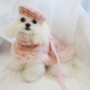 Dog Christmas Cloak Dog Plaid Coat Pet Cloak Pet Plush Cloak Dog Cape Cat Strap Traction Rope Designer Dog Clothes Pet Clothes2026