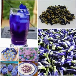 Ang butterfly pea flower tea ay nagpapabuti ng kaligtasan sa sakit nakakapagpahinga ng stress nakakatulong na maitaguyod ang pagkalastiko ng balat nagbabago ng collagen at maaaring magamit bilang isang toning ng pagk