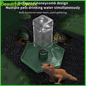 Beautiful เครื่องจ่ายน้ำอัตโนมัติสำหรับสัตว์เลื้อยคลานเครื่องให้อาหารสัตว์เลื้อยคลาน