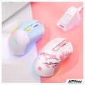 Chuột không dây Gaming DAREU EM901X RGB - SUPERLIGHT, FAST CHARING DOCK. 