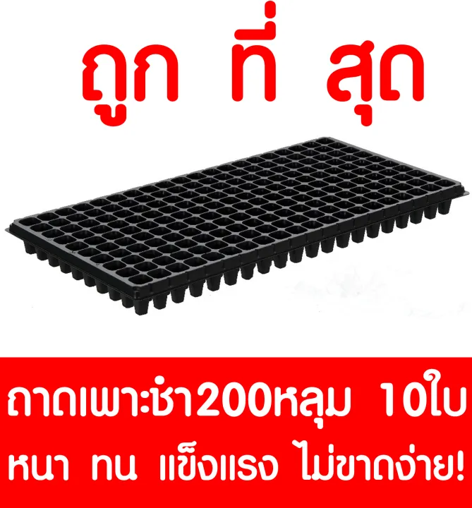 ถาดเพาะกล้า 200 หลุม 10 แผ่น สำหรับเกษตรกรและผู้ปลูกพืชขนาดใหญ่