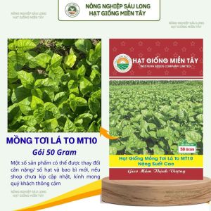 GÓI 50G – HẠT GIỐNG MỒNG TƠI LÁ TO MT10