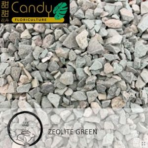 (SG Seller) Zeolite Green (Usagi) Gardening Decoration 绿沸石 园艺装饰