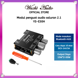 Wuzhi Audio | YS-E30H Dengan APP  2.1 Channel Bluetooth 5.1 Amplifier Papan Subwoofer Audio Amplifier Modul DC9-24V