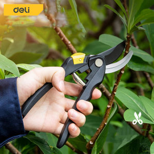 Deli กรรไกรตัดกิ่ง 8 8.5 นิ้ว Pruning Shears - กรรไกรตัดกิ่งไม้ กรรไกรแต่งกิ่ง กันไกรตัดกิ่ง บอนไซ สำหรับกระบวนการตัดเสริมระอาย คอมพิวเตอร์ และการแก้ไขผิวมือกรอบ